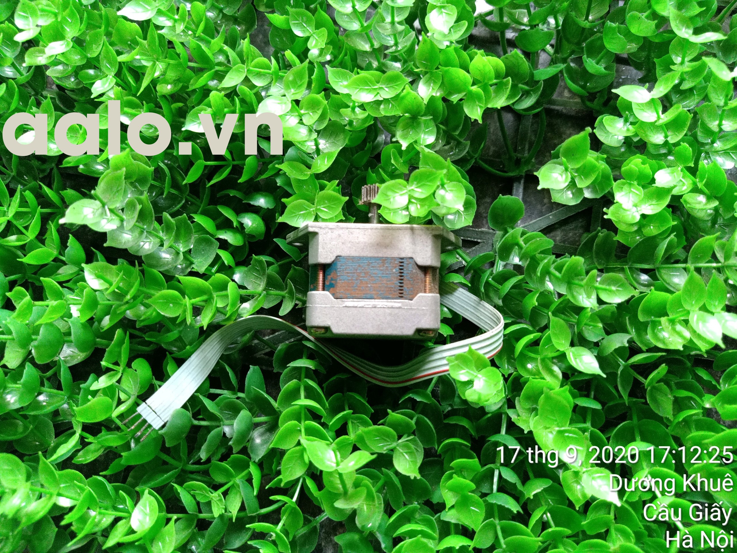 Mô tơ trục Máy in kim Epson LQ 2170 Máy in Kim A3 - aalo.vn